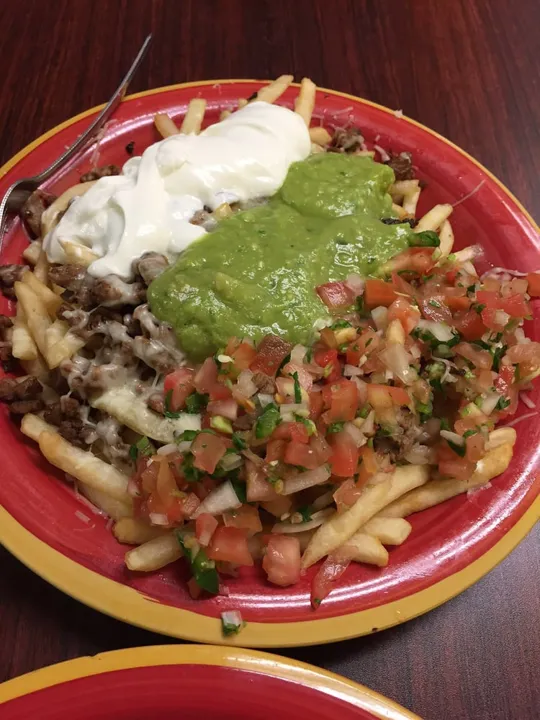 🍟 Asada Fries