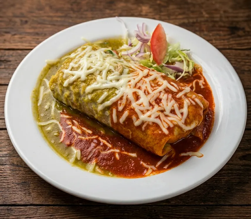 🌯 Burrito Mojado