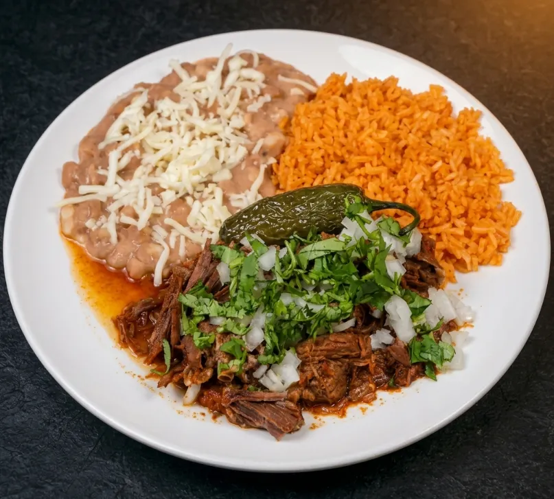 🍲 Birria Combo Plate